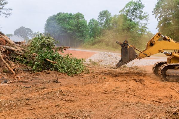 Cost of Ground Clearing in Okeechobee