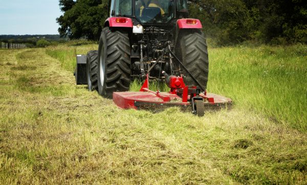 Cost of Brush Clearing Service in Okeechobee