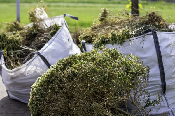 Cost of Bushes Clearing in Okeechobee