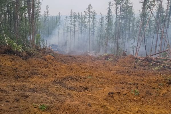 Cost of Hill Clearing in Okeechobee