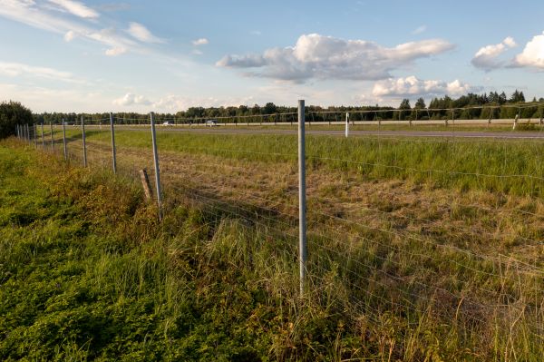 Cost of Property Line Clearing in Okeechobee