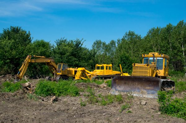 Cost of Bulldozer Clearing in Okeechobee