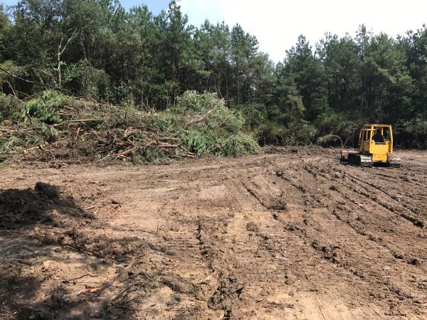Cost of Thicket Clearing in Okeechobee