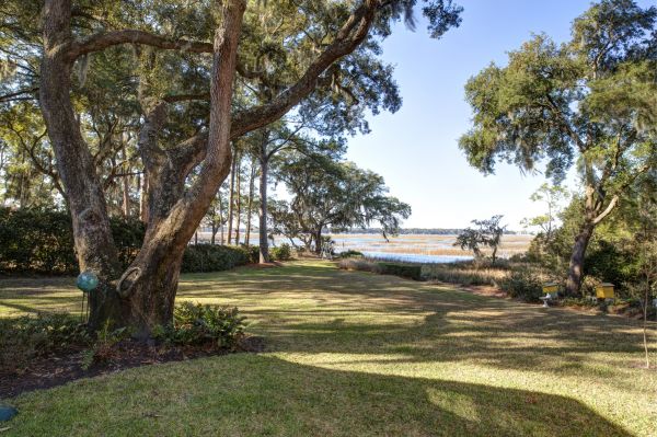 Cost of Lakefront Property Clearing in Okeechobee