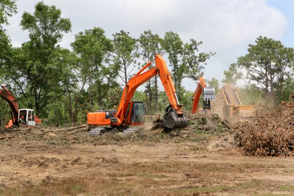 Cost of Commercial Lot Clearing in Okeechobee