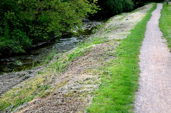 Cost of Trail Cutting in Okeechobee