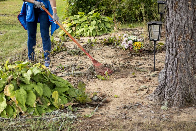 Land Clearing Permits